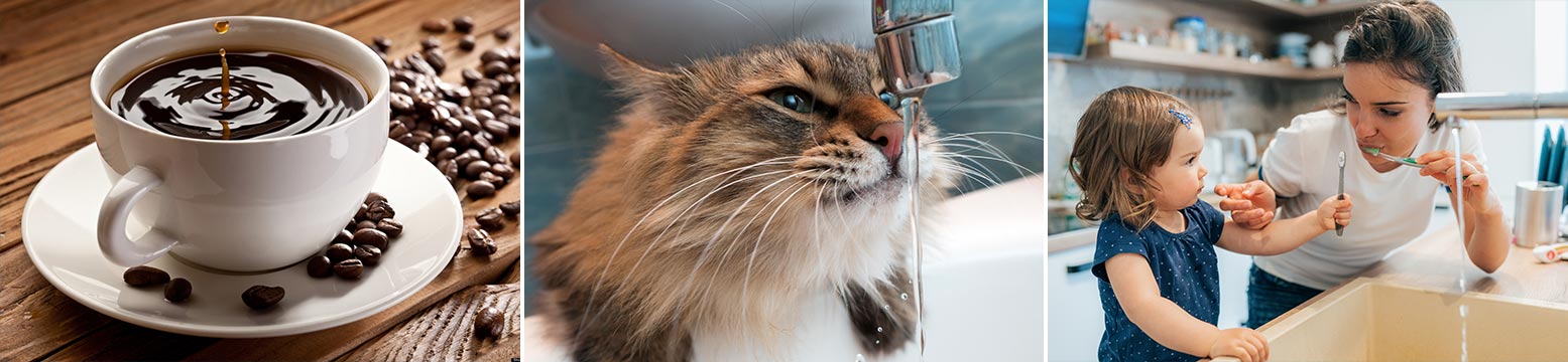 Uses for Water Filtration