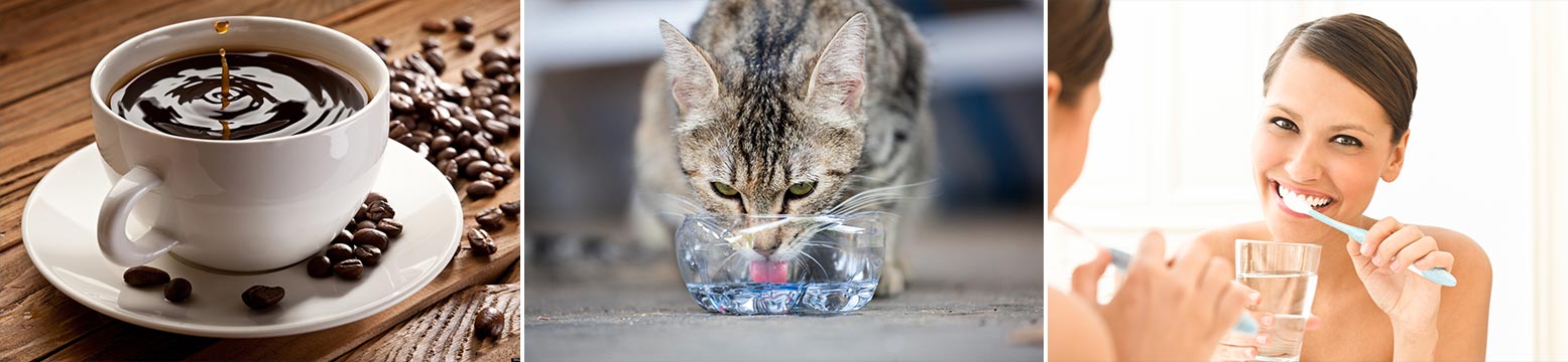 Uses for Water Filtration