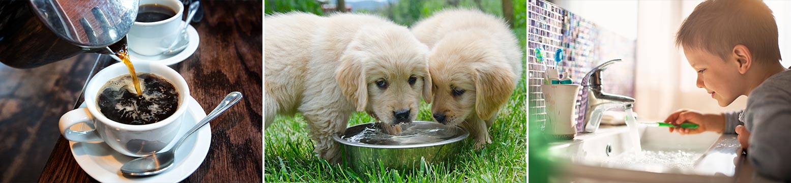 Uses for Water Filtration