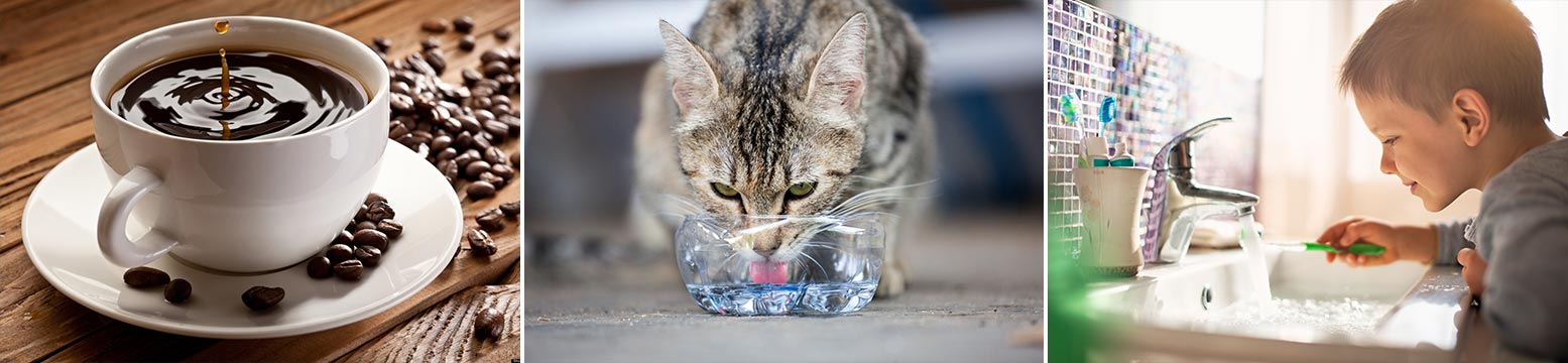 Uses for Water Filtration