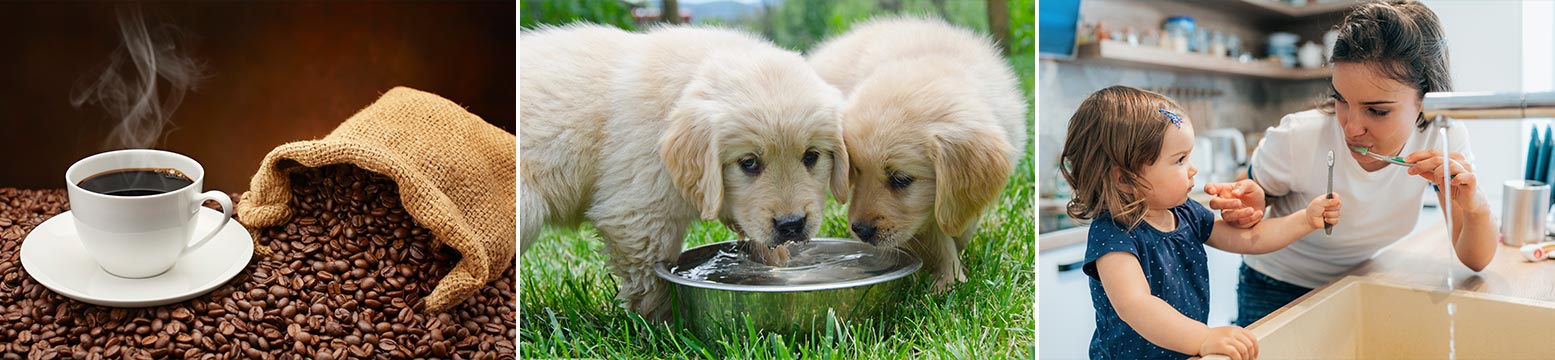 Uses for Water Filtration