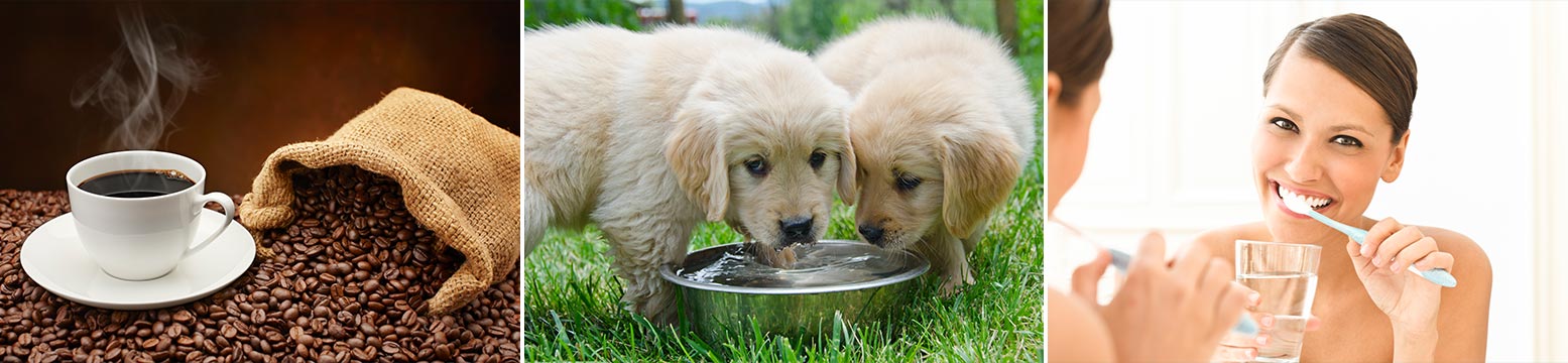 Uses for Water Filtration