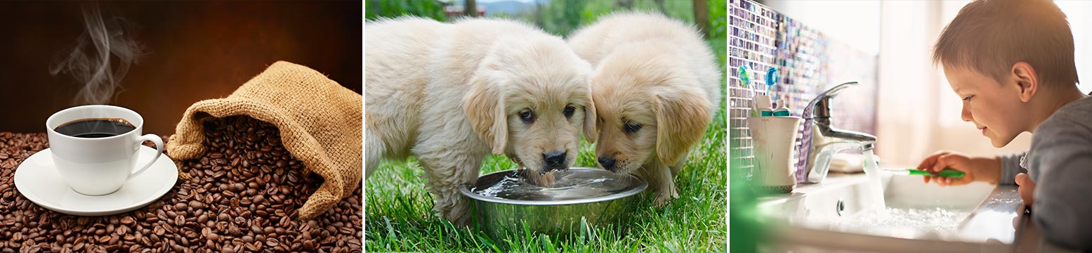 Uses for Water Filtration