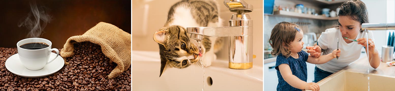 Uses for Water Filtration