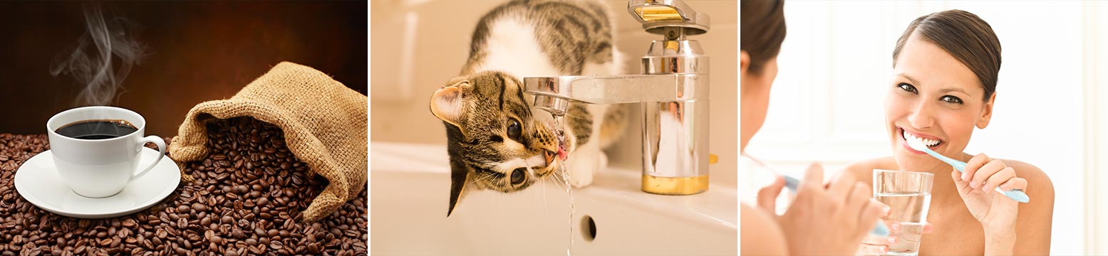 Uses for Water Filtration