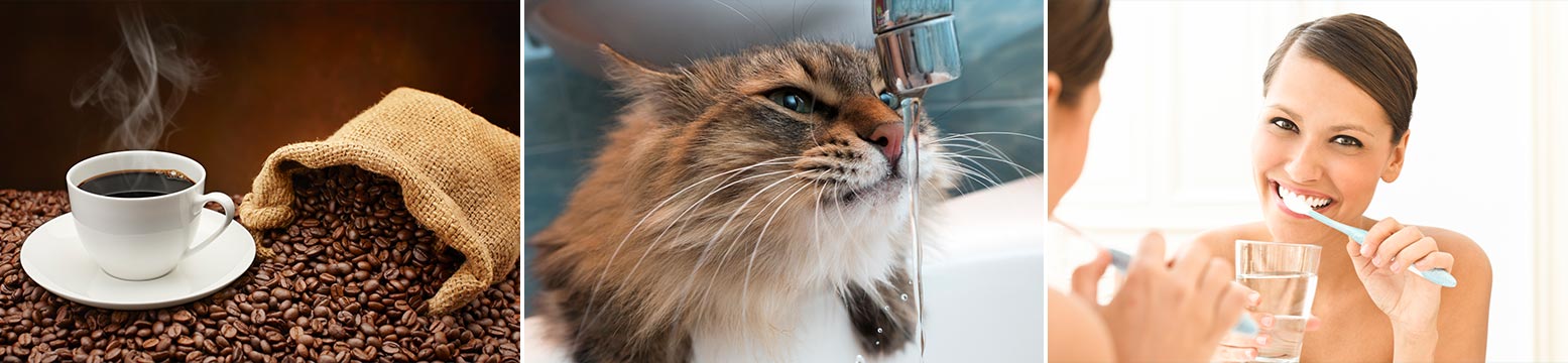 Uses for Water Filtration