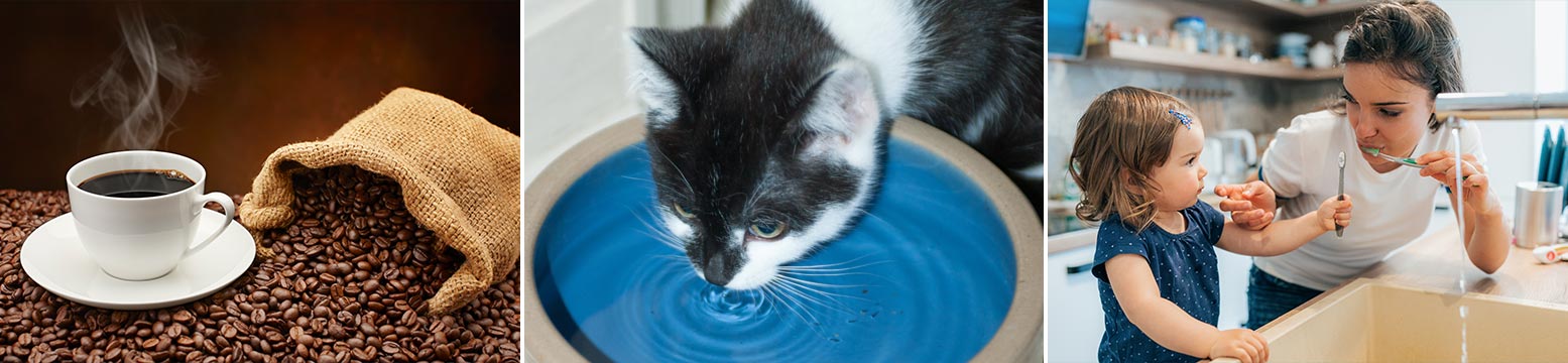 Uses for Water Filtration