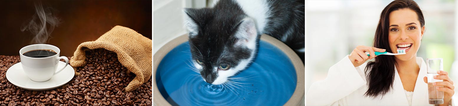 Uses for Water Filtration