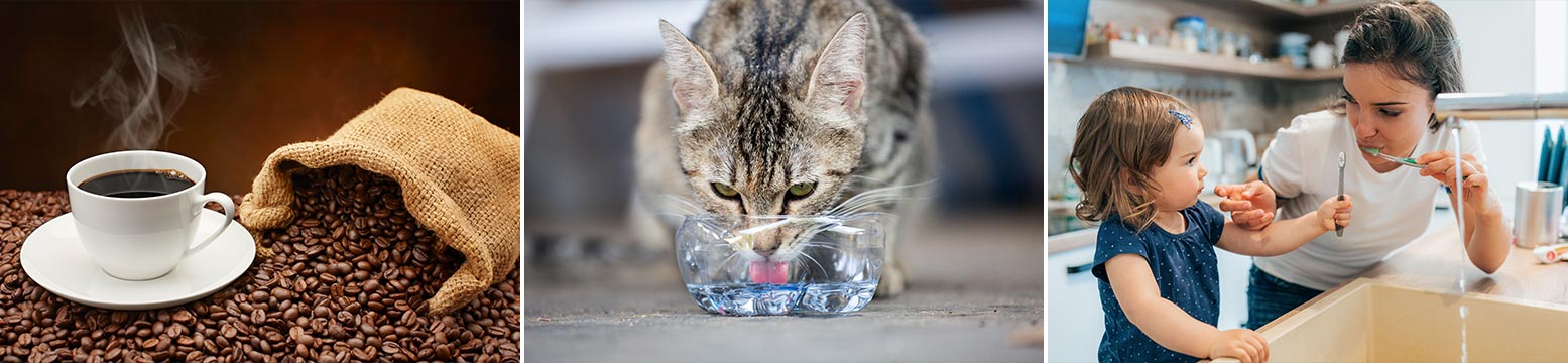 Uses for Water Filtration