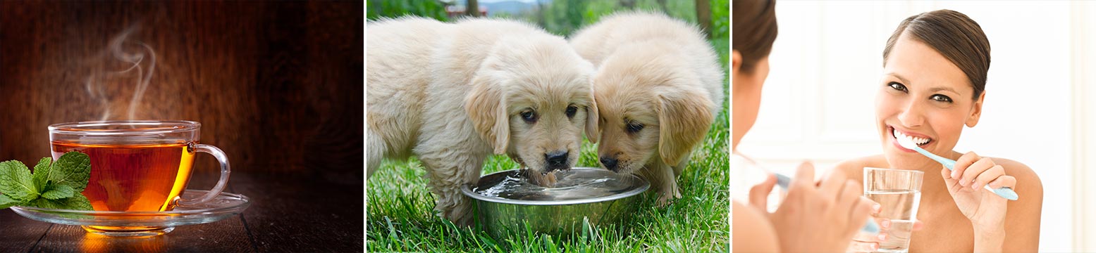 Uses for Water Filtration