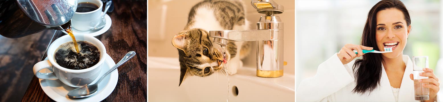 Uses for Water Filtration