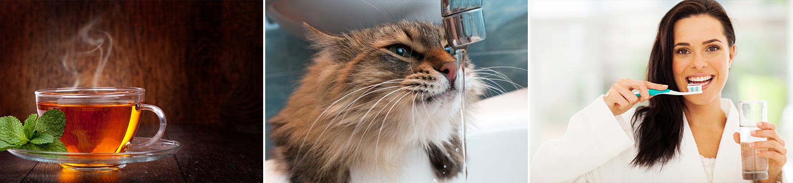 Uses for Water Filtration