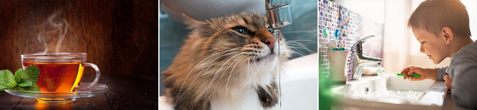 Uses for Water Filtration