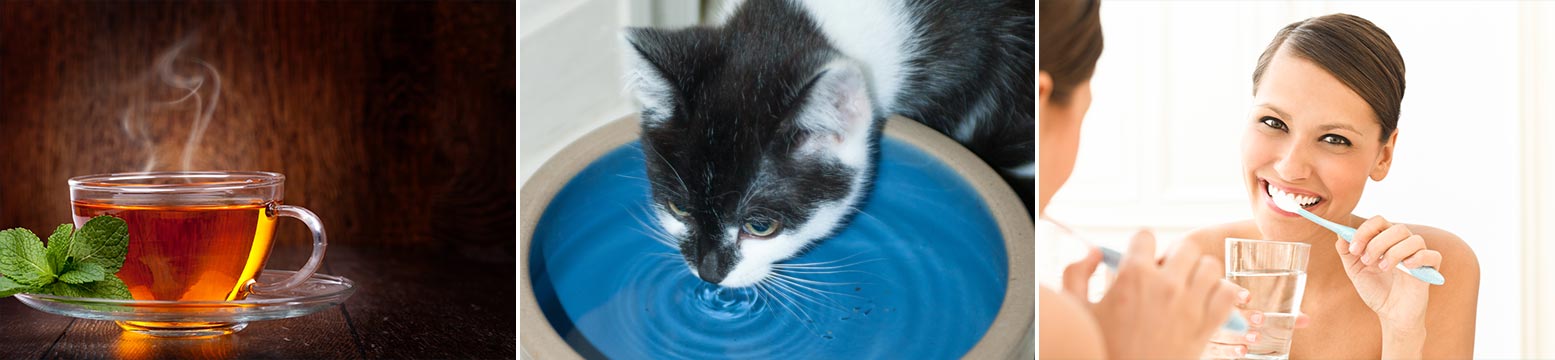 Uses for Water Filtration