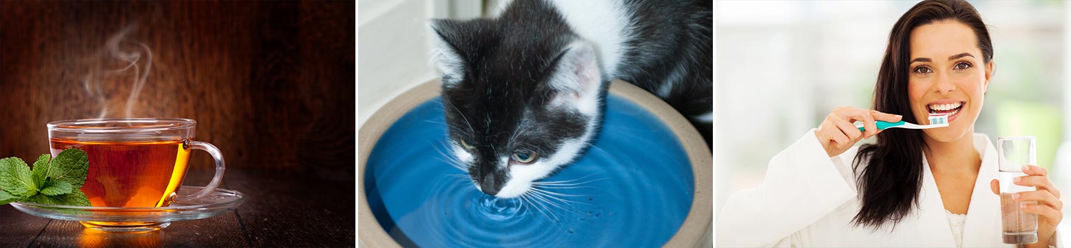 Uses for Water Filtration