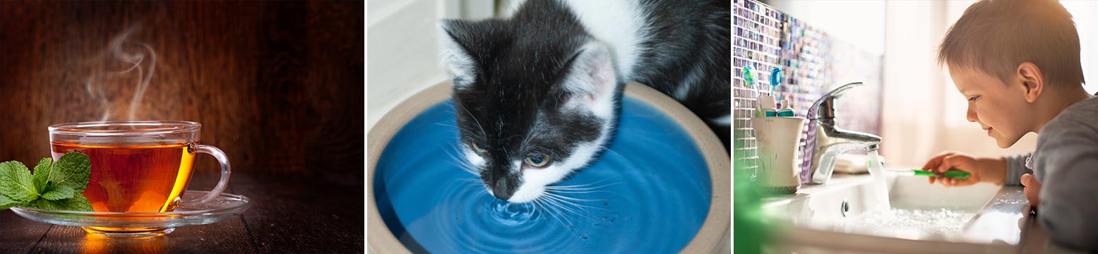 Uses for Water Filtration