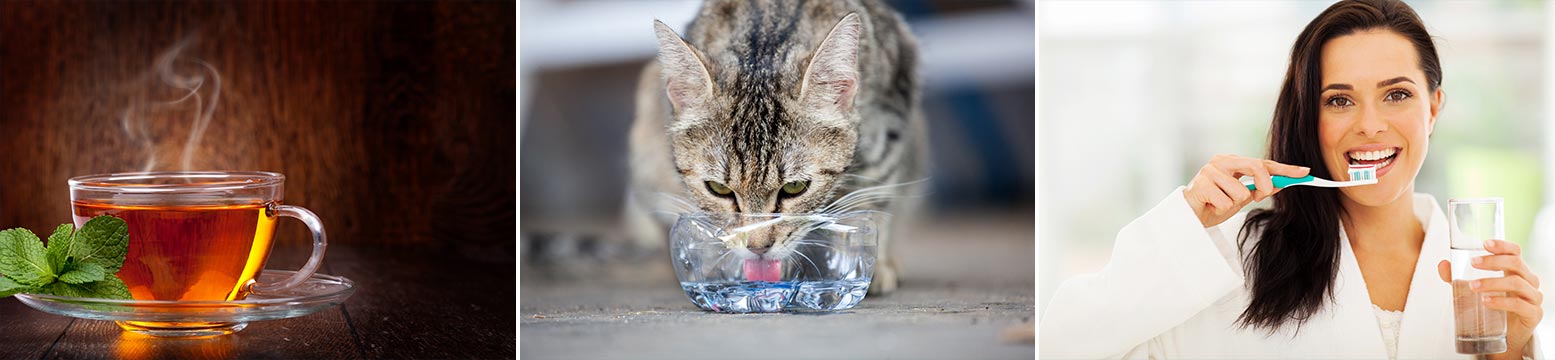 Uses for Water Filtration