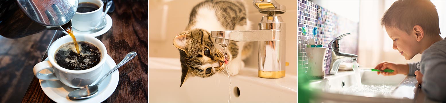 Uses for Water Filtration