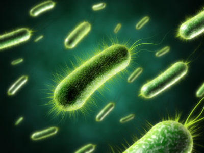 UV light has germicidal properties