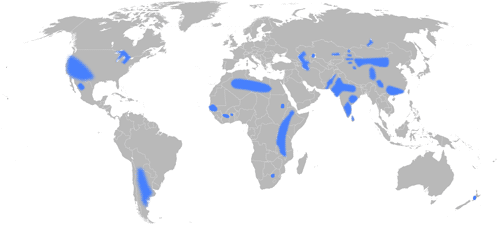 World map of Groundwater Fluoride Concentrations Above 1.5 mg/L Recommended Limit