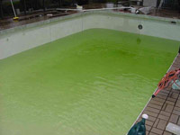 Pool Water Treatet with Chloramines