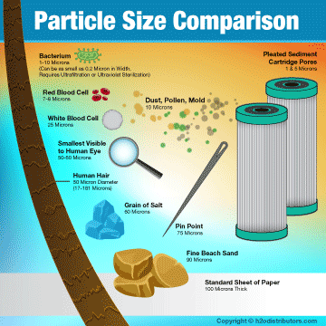 Particle Size Comparison Diagram