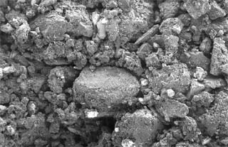 Structure of activated carbon in a carbon block filter